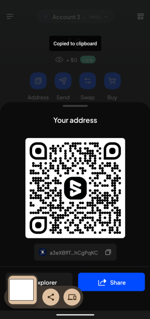 subwallet_kint_copy_address.png